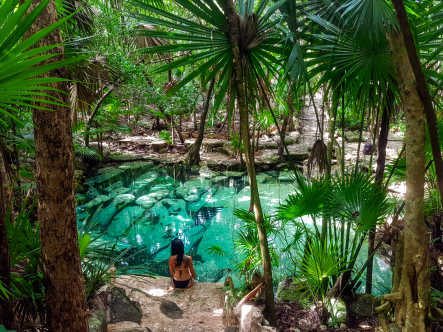 Grünes Paradies Cenote Azul mit Palmen und Ruinen am Grund des Wassers in der Riviera Maya in Yucatan, Mexico