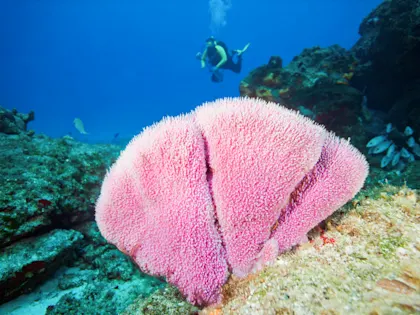 Vietnam & Kambodscha entdecken - Image 3