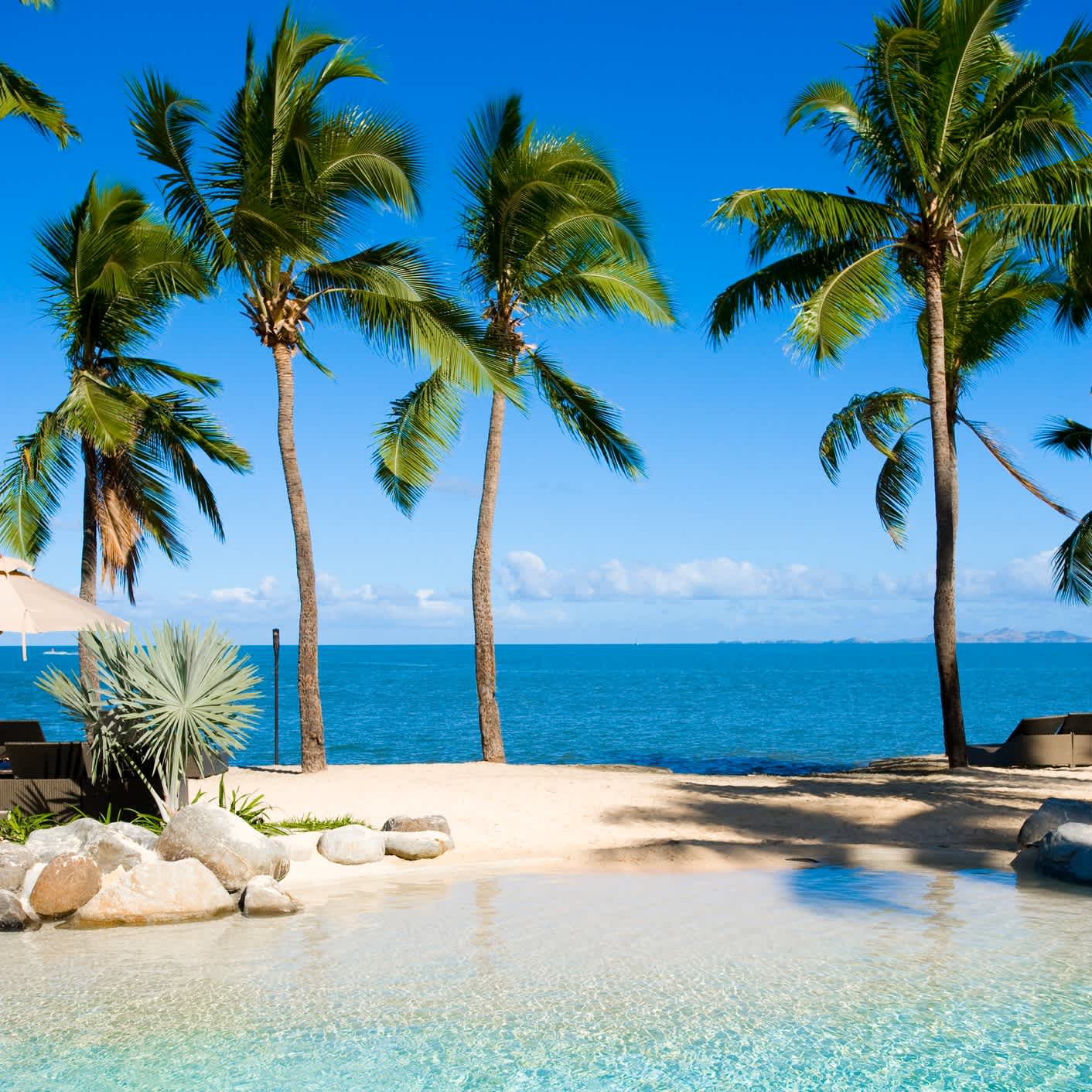 Vue d'une eau turquoise avec du sable blanc et des palmiers en bord de mer, île Denarau, Fidji