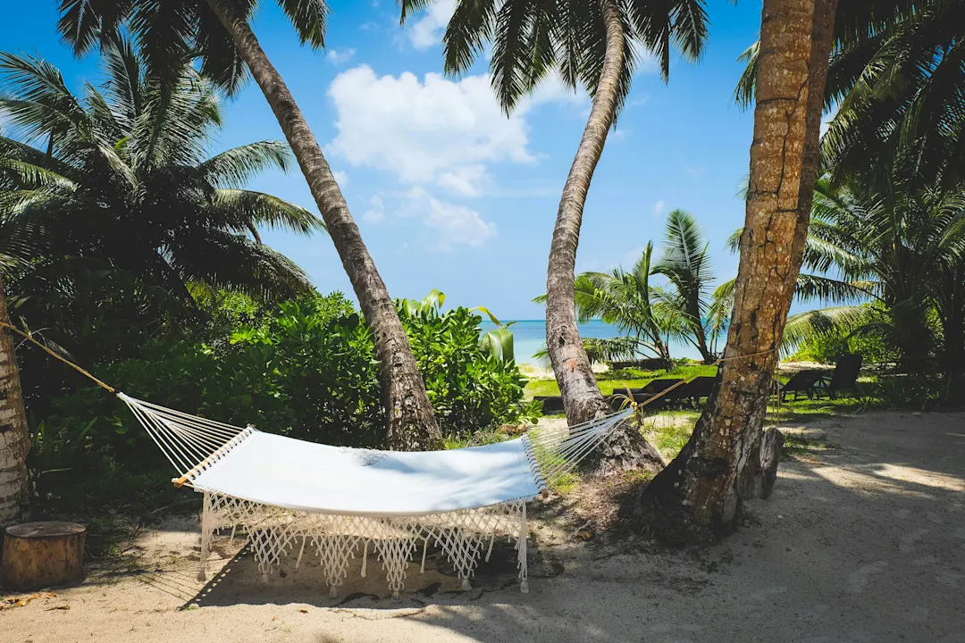 Hängematte zwischen zwei Palmen bei sonnigem Wetter, Praslin, Seychellen
