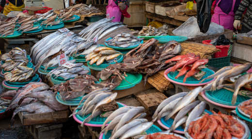 Fangfrischer Fisch und Meeresfrüchte auf einem Markt in Busan