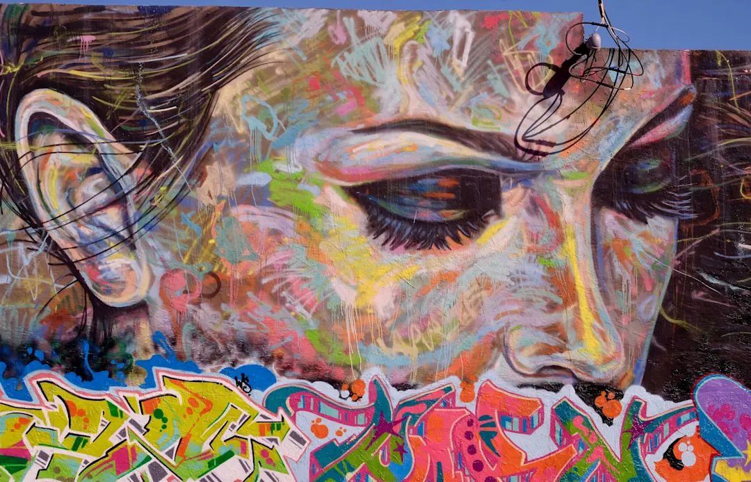 Nordamierka USA Florida Miami Wynwood Walls Street Art auf den Wynwood Walls beim Miami Urlaub erleben