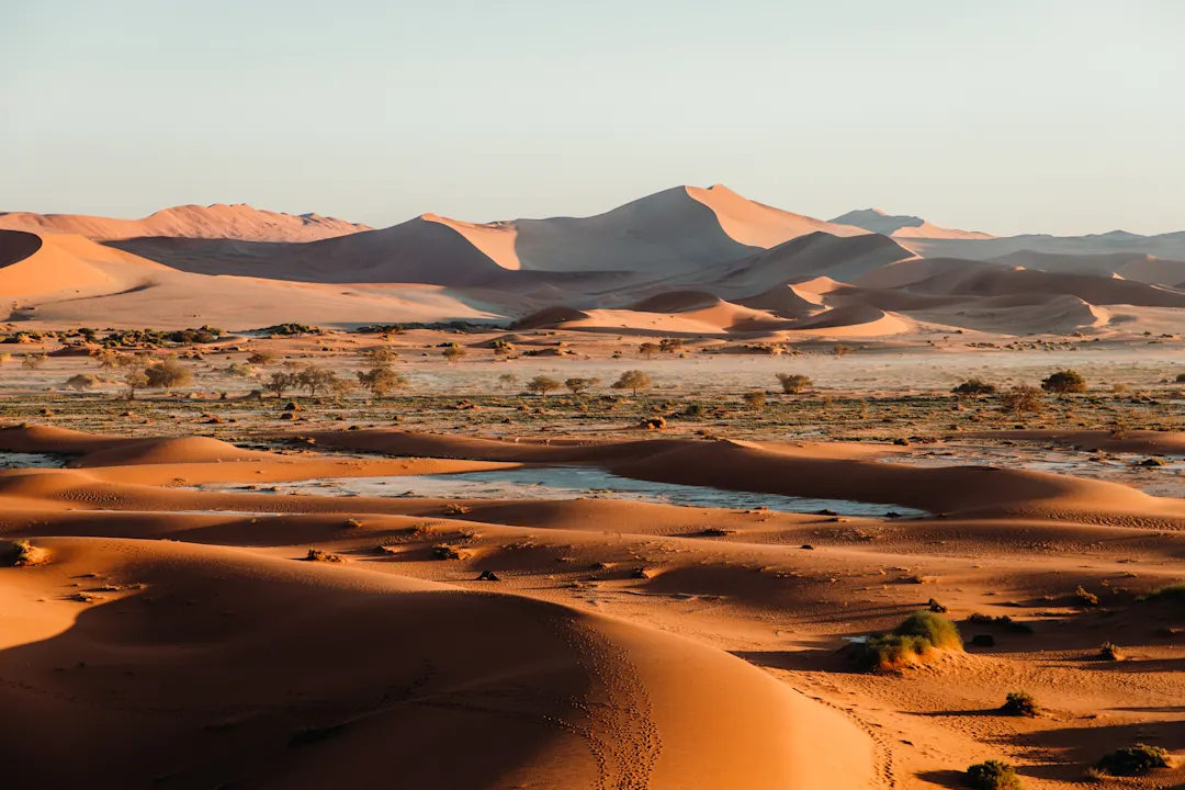 Weite Wüstenlandschaft mit orangefarbenen Sanddünen im warmen Sonnenlicht, vereinzelte Vegetation im Vordergrund.