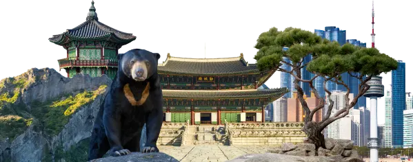 Collage XS - Südkorea