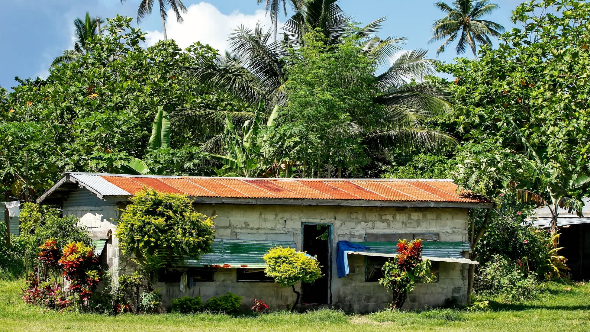 Fidschianisches Dorfhaus aus Stein vor Palmen