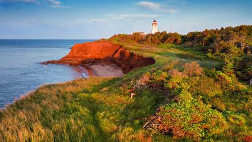 Côte et phare sur l'Île-du-Prince-Édouard au Canada