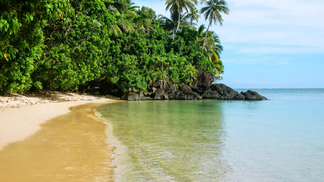 Fidschi-Inseln, Taveuni, Strand Sandstrand umgeben von Palmen