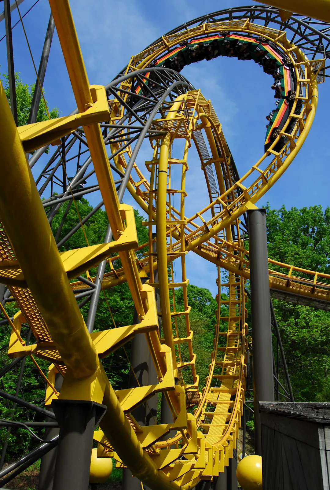 Bild einer Achterbahn im Busch Gardens in Tampa.