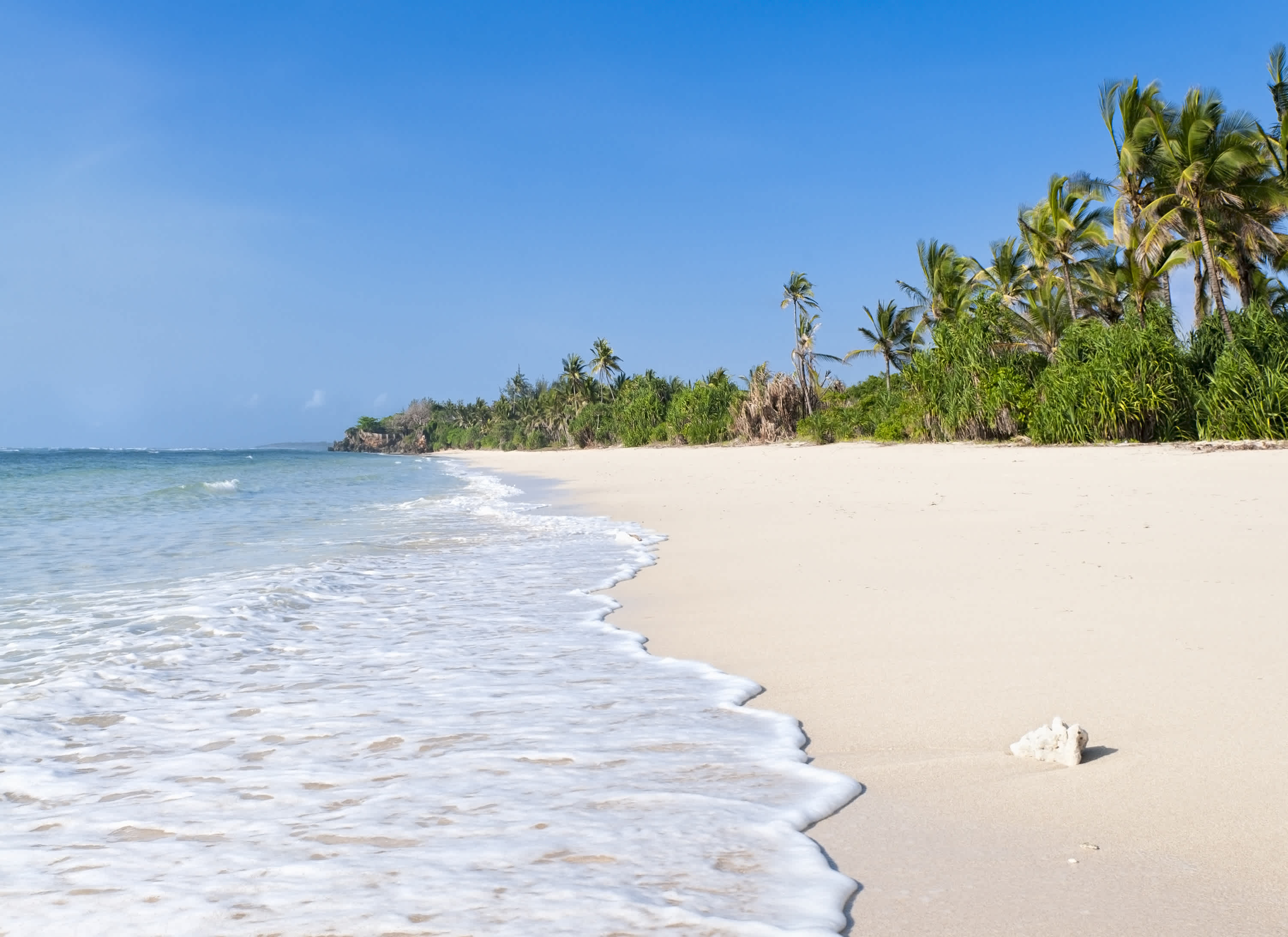 La plage de Msambweni, près de Diani, sur la côte kenyane, en Afrique de l'Ouest.