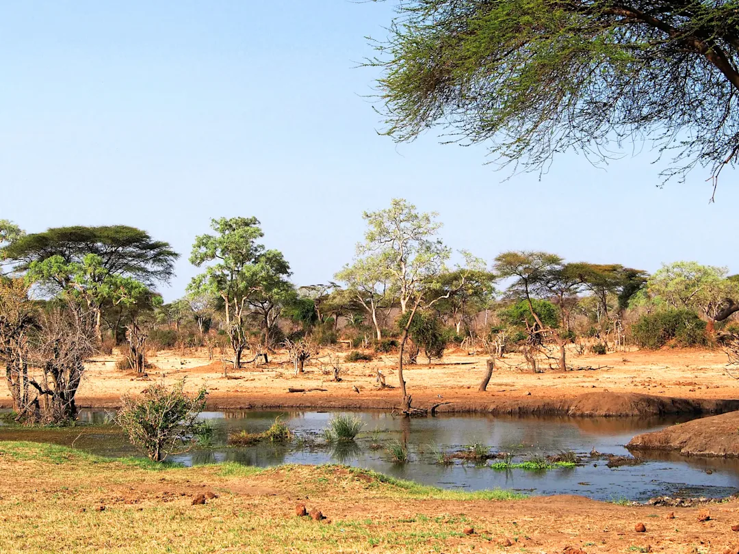 Safari en camping au Botswana