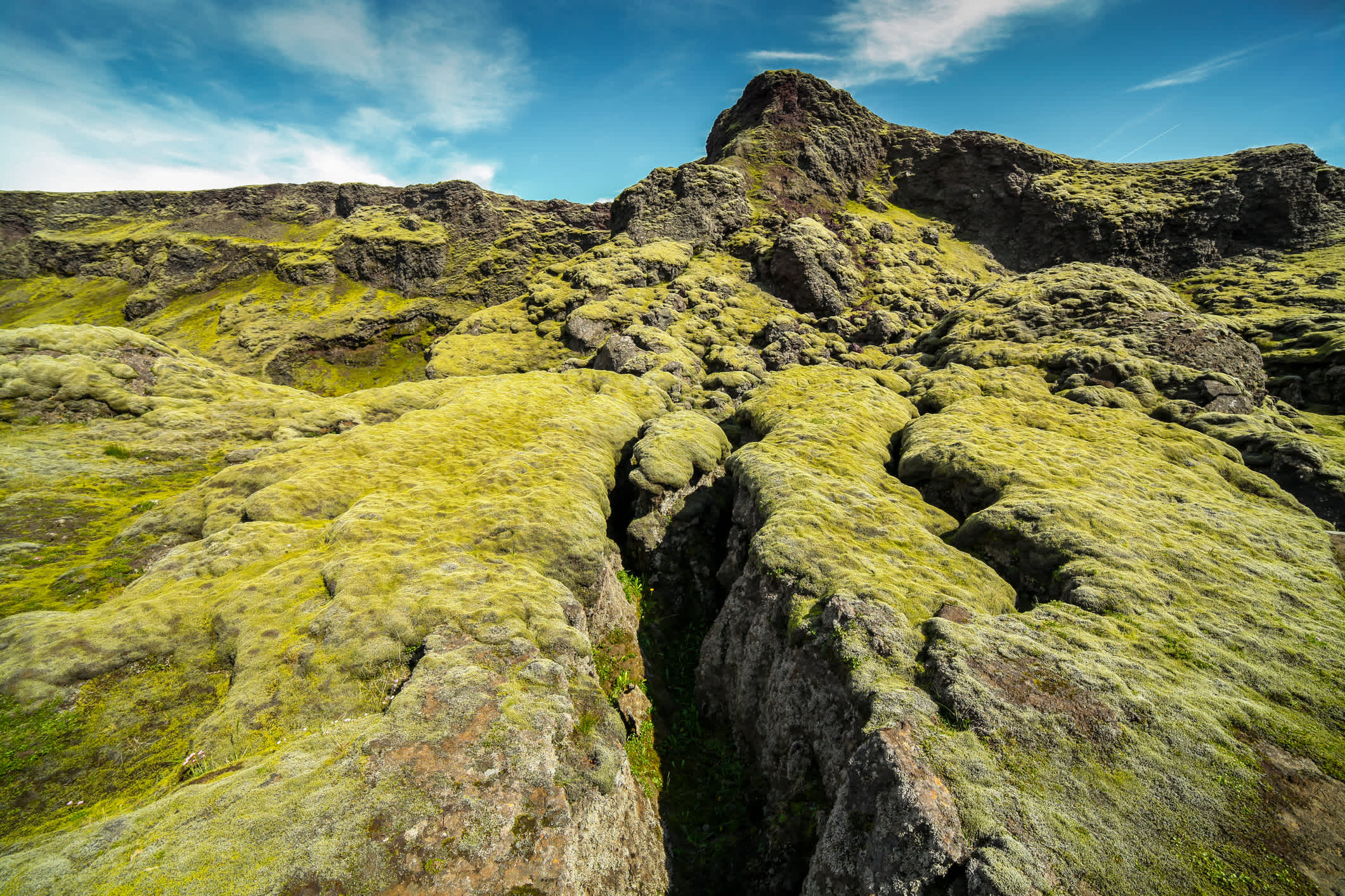 Vulkankrater bedeckt mit grünem Moos in der Laki Krater Region, isländisches Hochland. 