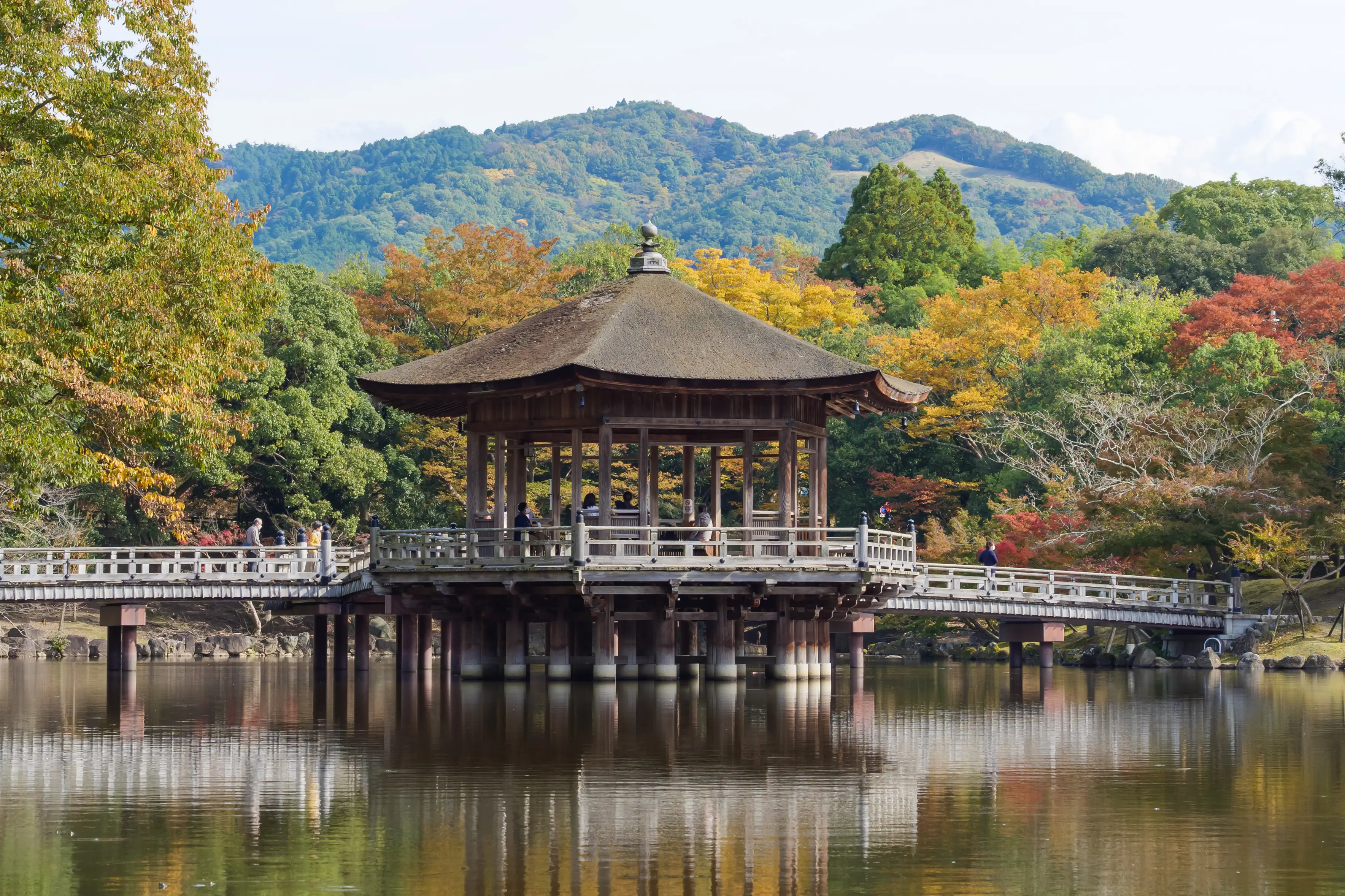 Japon, parc Nara Japon, parc Nara
