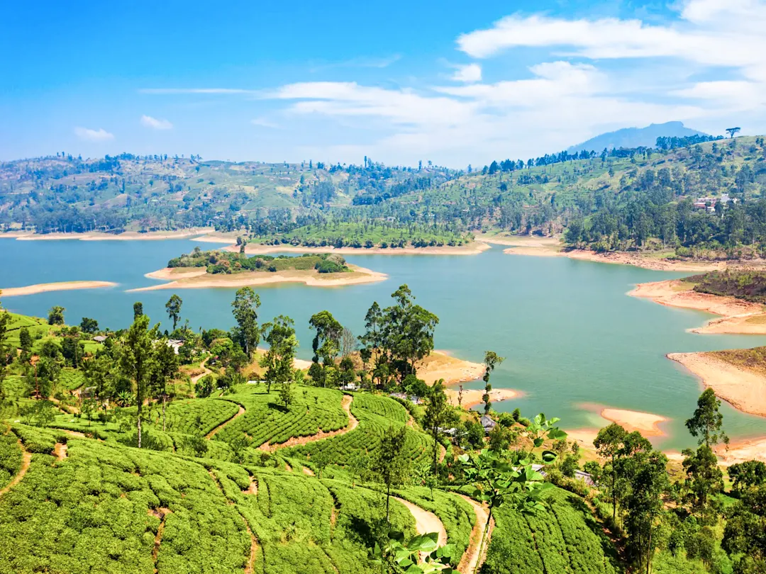 Stausee mit kleinen Inseln umgeben von Teeplantagen. Nuwara Eliya, Central Province, Sri Lanka.
