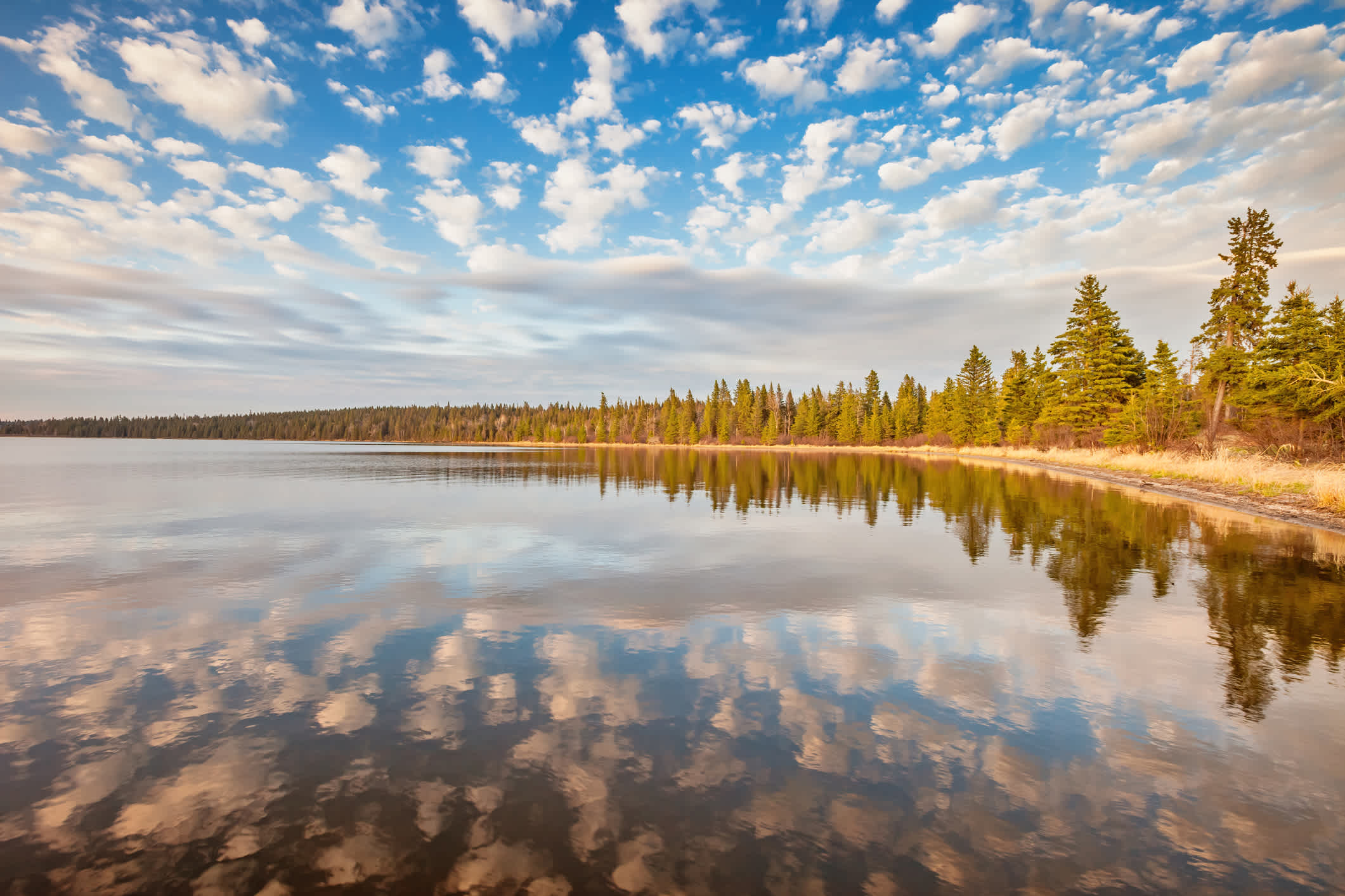 Klare Seenlandschaft im Riding Mountain Nationalpark, Manitoba, Kanada.

