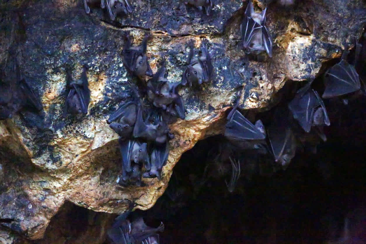 Höhle Goa Lawah bei Candidasa auf Bali in Indonesien