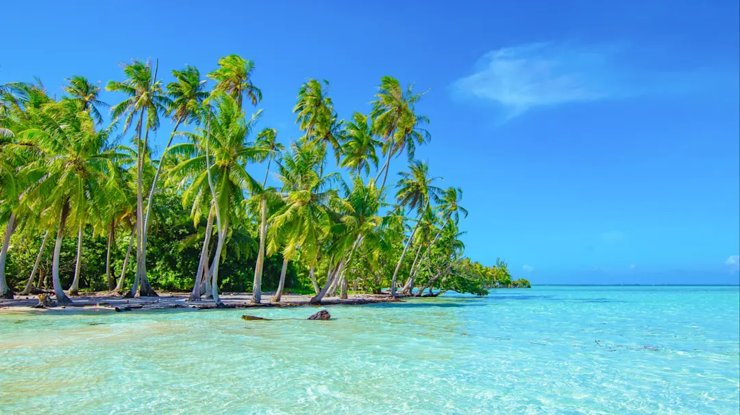 Aufnahme einer Bucht auf Raiatea