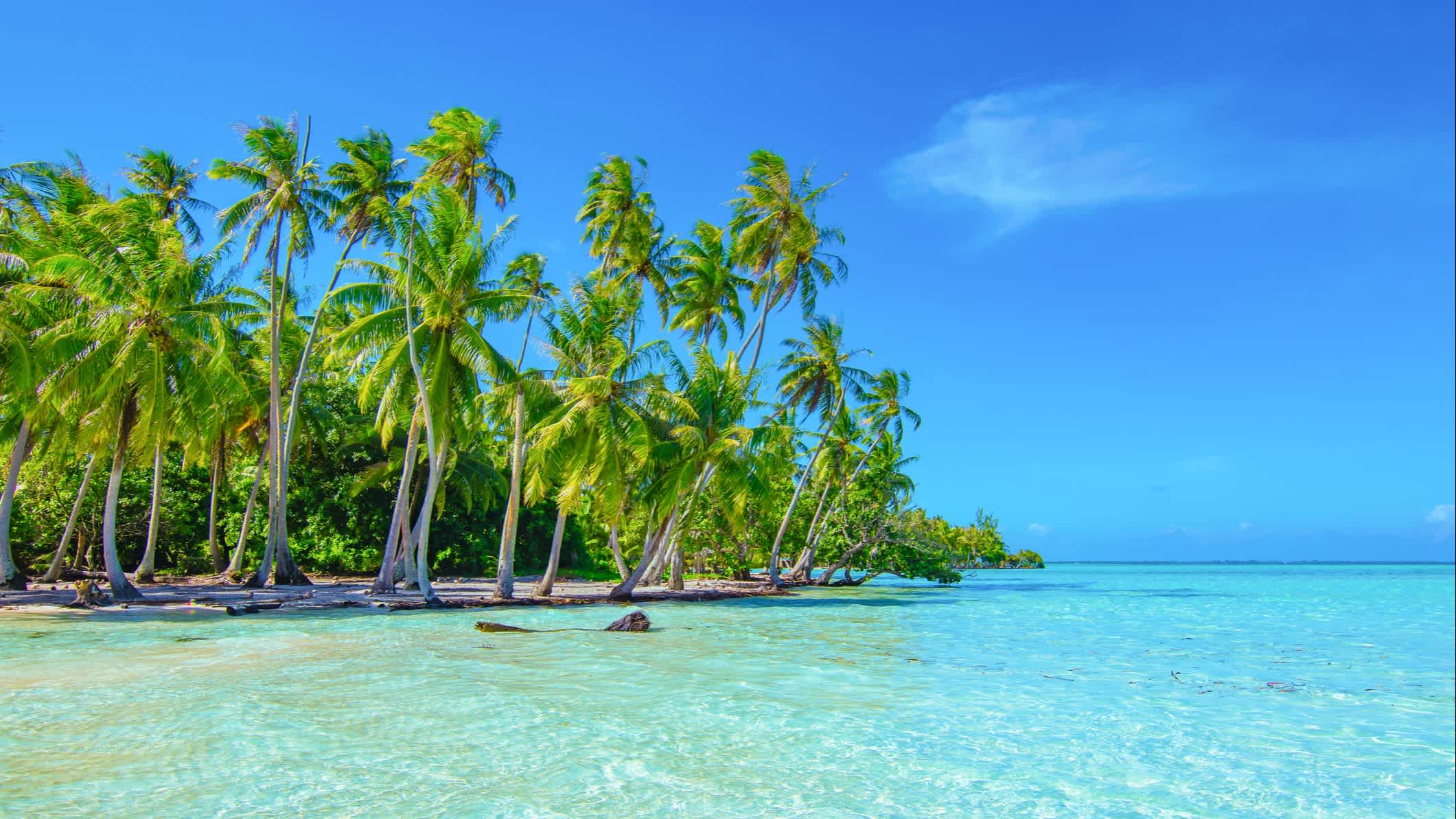 Aufnahme einer Bucht auf Raiatea