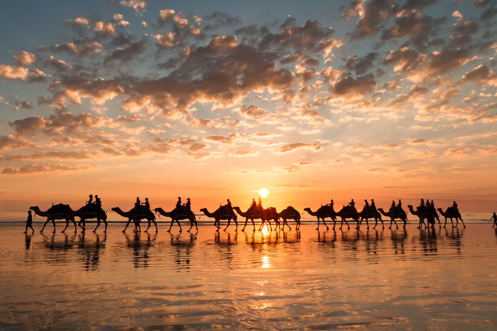 Caravane de chameaux sur la plage au coucher du soleil
