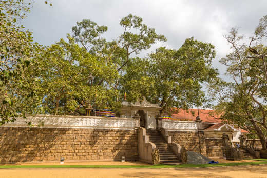  Jaya Sri Maha Bodhi