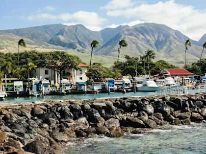 Circuit 4 îles à Hawaï : trésors naturels - Image 1
