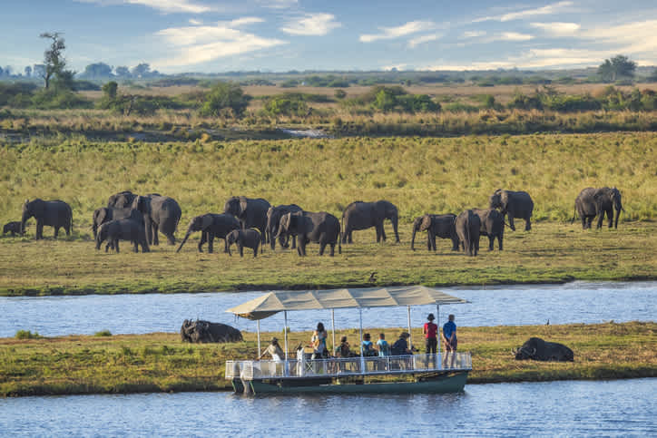 Profitez de votre voyage au Botswana pour vous offrir un safari fluvial extraordinaire sur la rivière Chobe