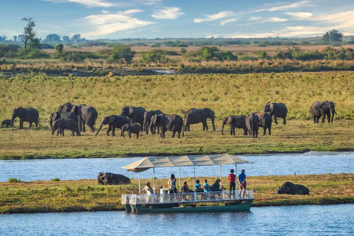 Botswana Chobe-Nationalpark Flusssafari Nutzen Sie Ihre Reise nach Botswana, um sich eine außergewöhnliche Flusssafari auf dem Chobe-Fluss zu gönnen.
