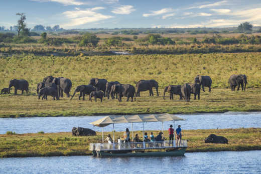 Profitez de votre voyage au Botswana pour vous offrir un safari fluvial extraordinaire sur la rivière Chobe