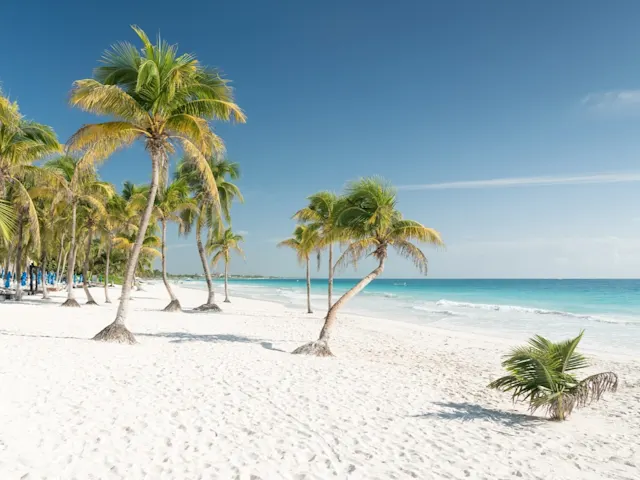 Stilvolle Beste Reisezeit Yucatan Ebenbildnull