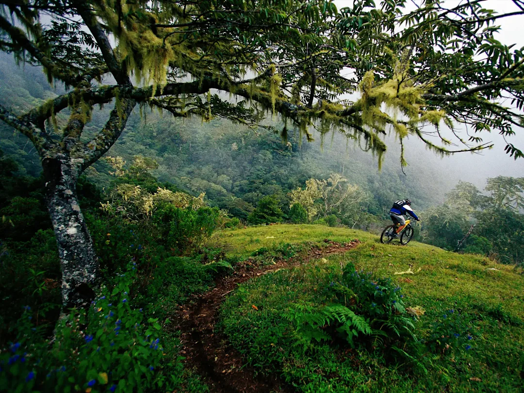 Voyage aventure au Costa Rica