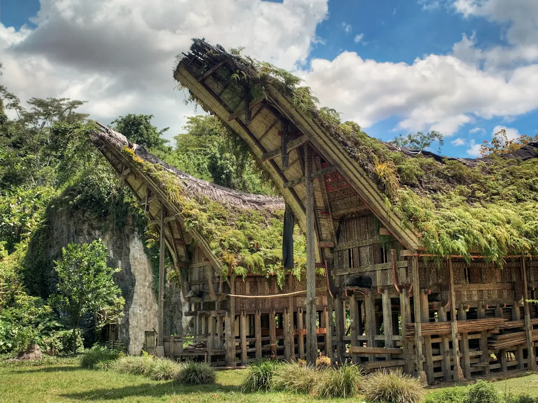 Circuit à Sulawesi : Makassar, Toraja et Sengkang