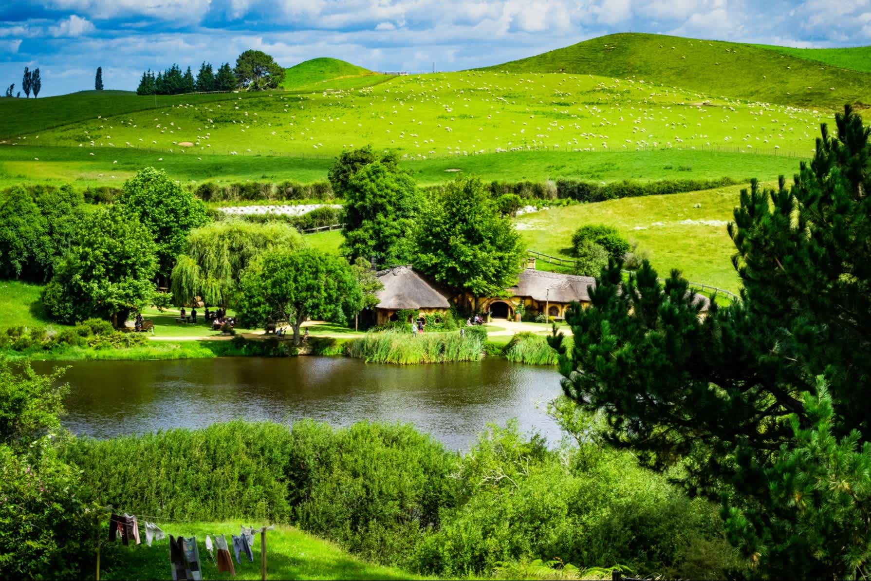 Le panorama du lieu de tournage de Hobbiton, Waikato, Nouvelle-Zélande.