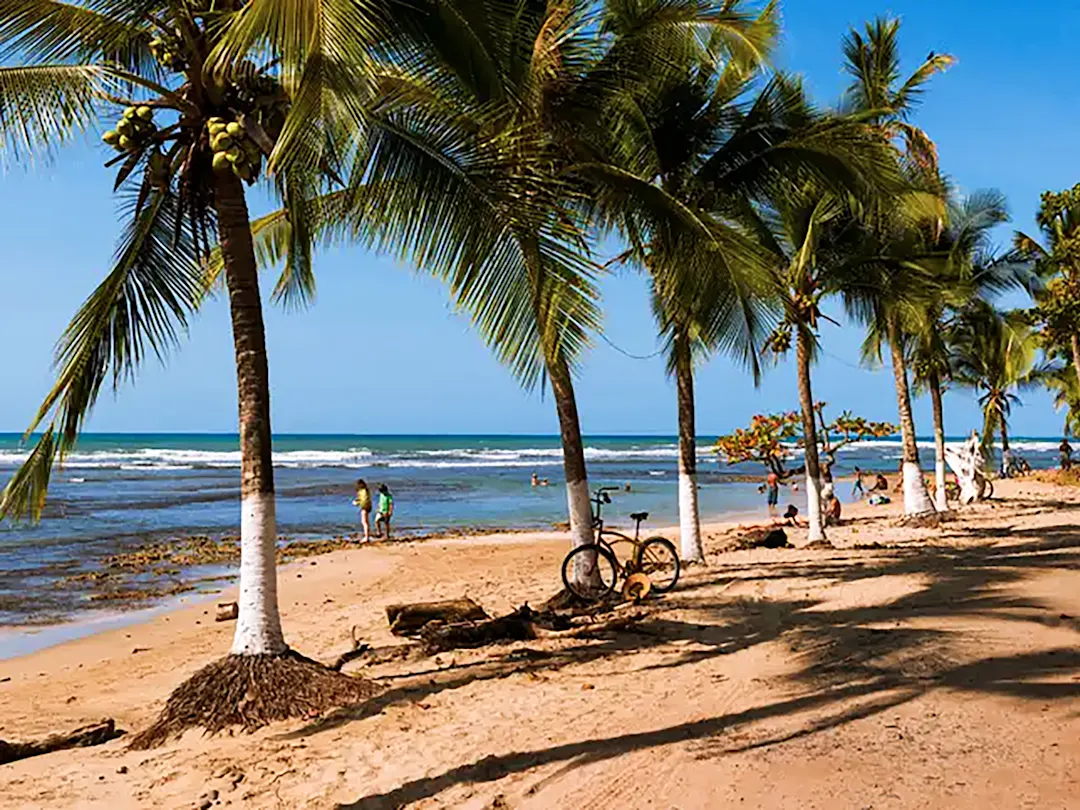 Palmenstrand mit Fahrrädern am Sand, Cahuita, Limón, Costa Rica.
