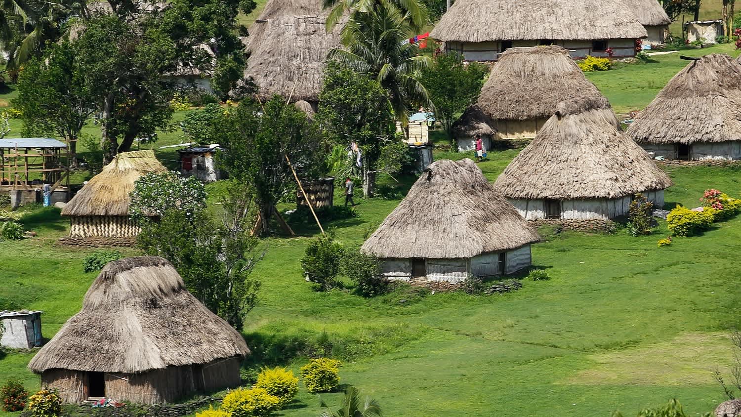Traditionelle fidschianische Hütten mit Strohdach