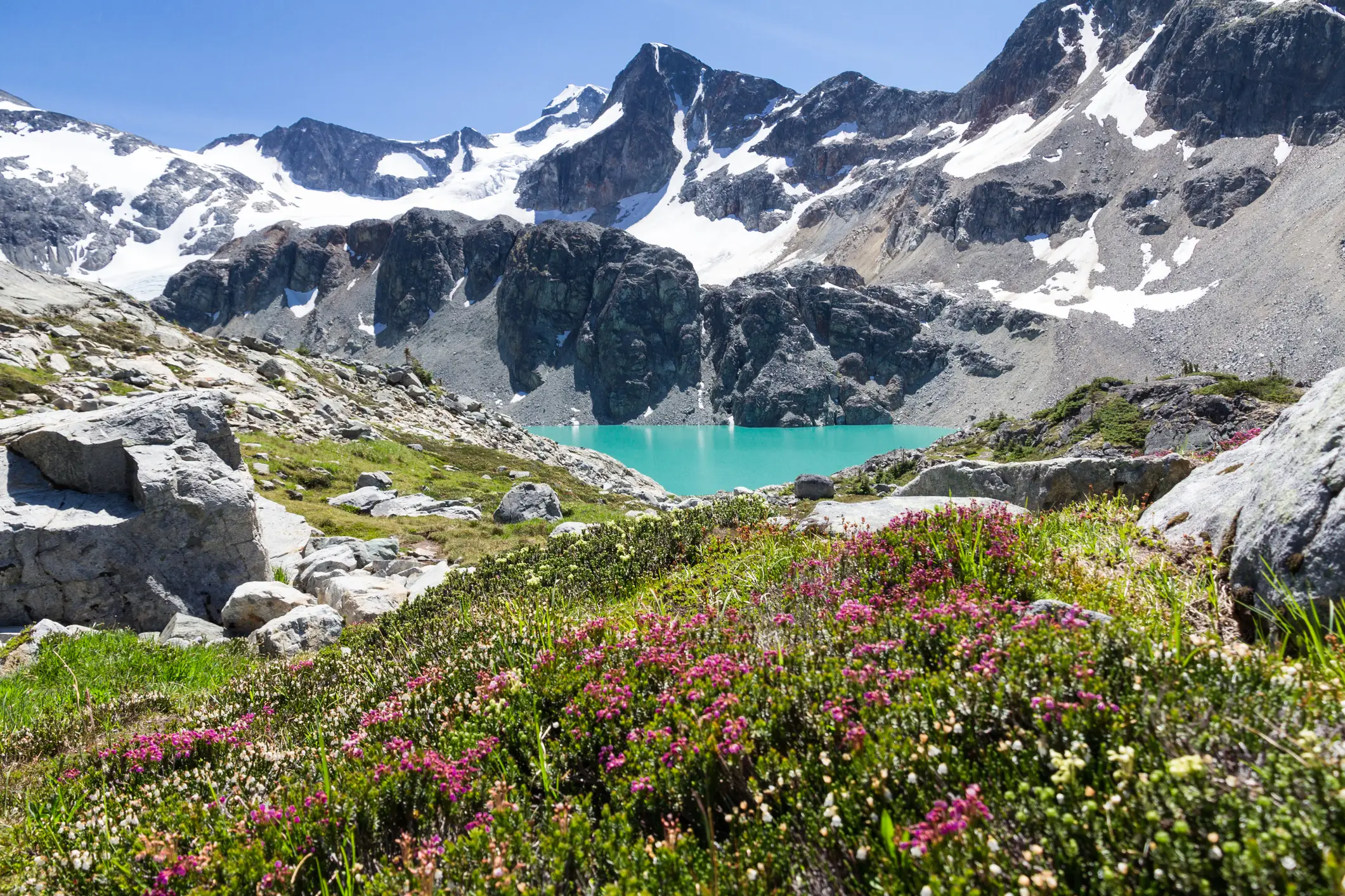 Der Wedgemount Lake mit Blumen im Vordergrund.