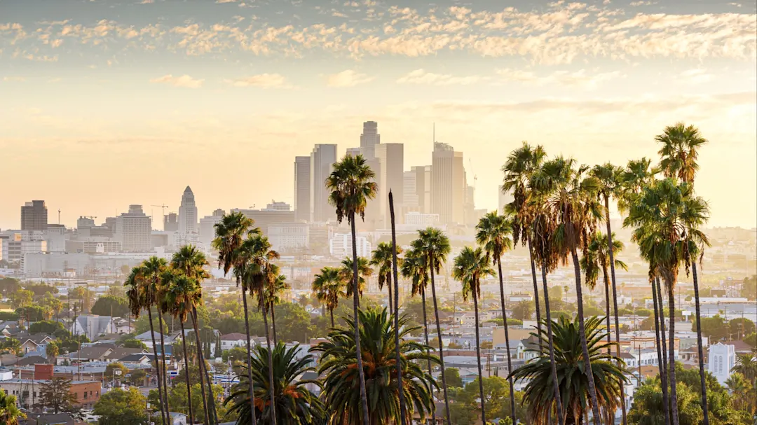 Palmen und die Skyline von Los Angeles bei Sonnenaufgang, im Stadtteil Hollywood. Hollywood, Kalifornien, USA.