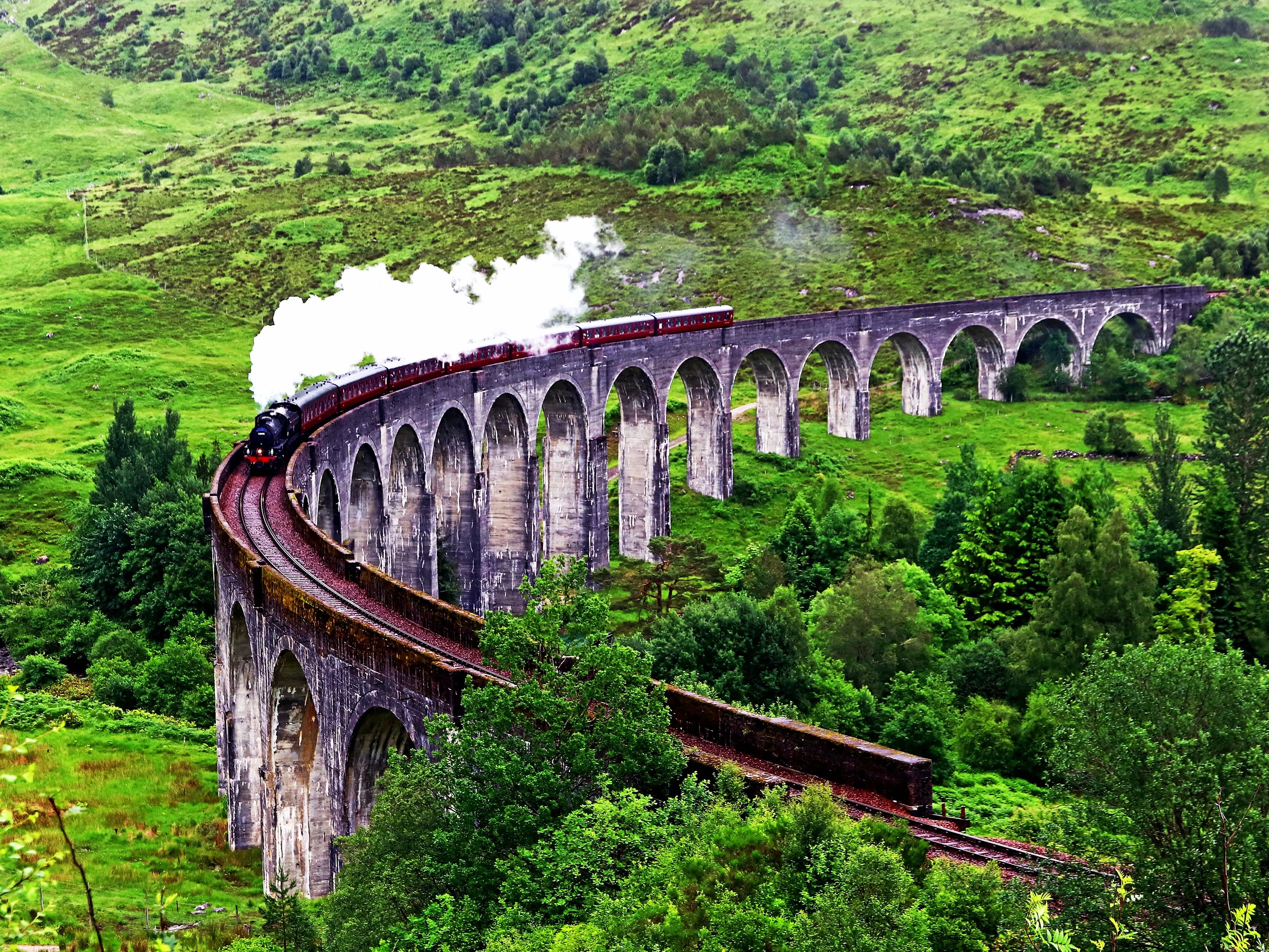 Train à vapeur sur le pont entouré de végétation de Fort William en Ecosse