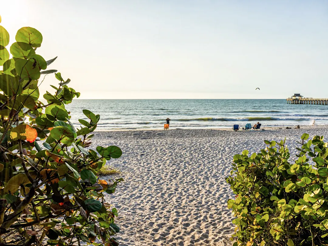 Sandstrand mit grünen Büschen und Wellen im Sonnenuntergang, Naples, Florida, USA.
