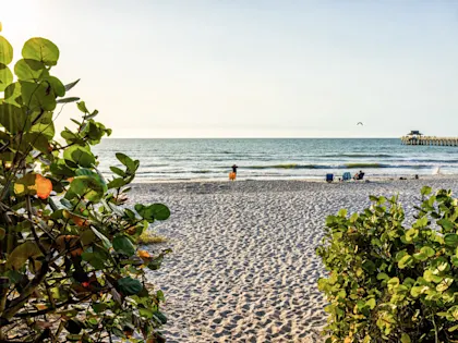 Circuit Floride et Bahamas - Image 1