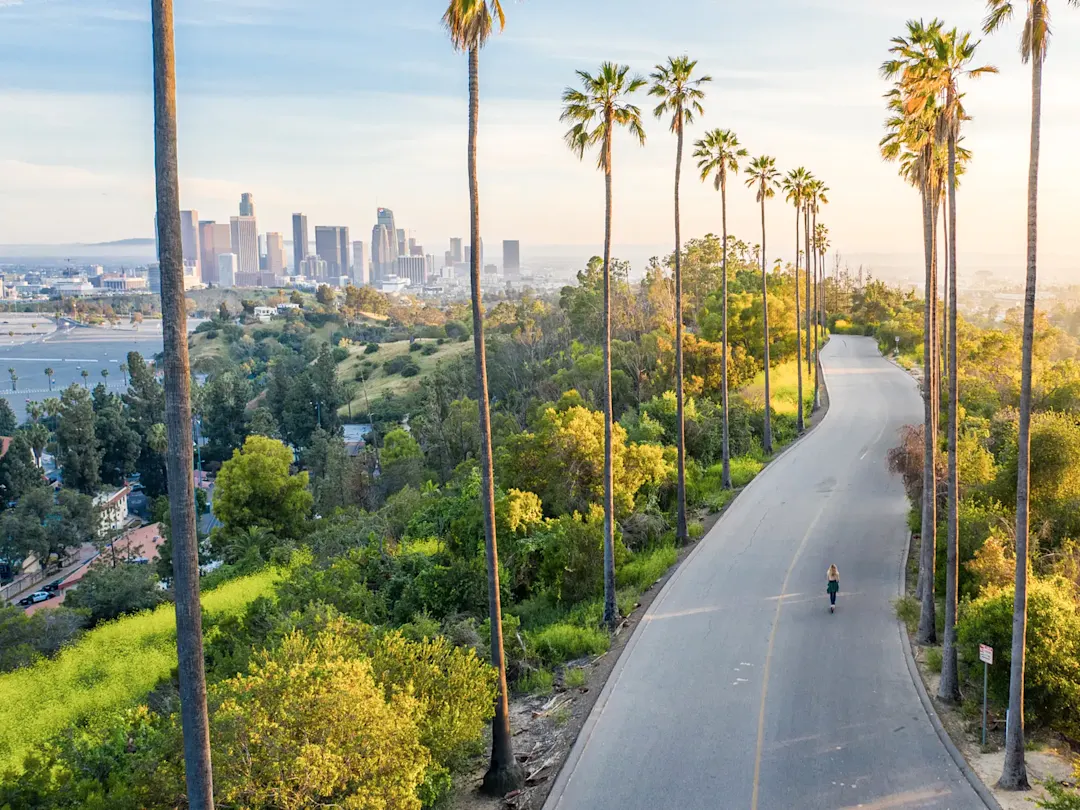 USA, Kalifornien, Los Angeles Panoramaweg mit Palmen und Blick auf die Skyline, Los Angeles, Kalifornien, USA.