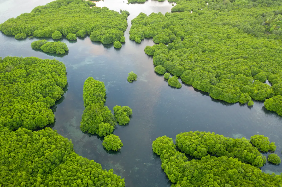 Brasilien, Amazonas Luftaufnahme der Inseln von Anavilhanas Archipel auf dem Rio Negro Fluss, Amazonas, Brasilien.