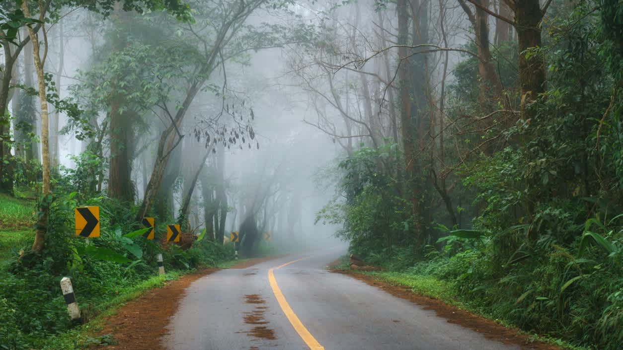 Belle route matinale dans le brouillard près de Doi Pha Hee, Chiang Rai, Thaïlande.