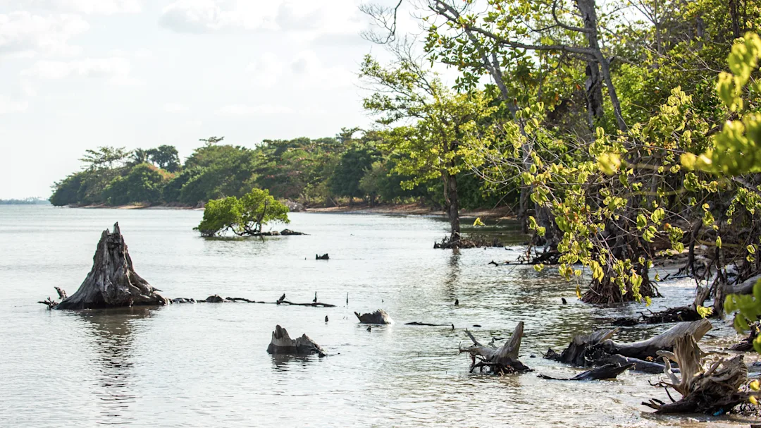Road trip en Malaisie de 2 semaines