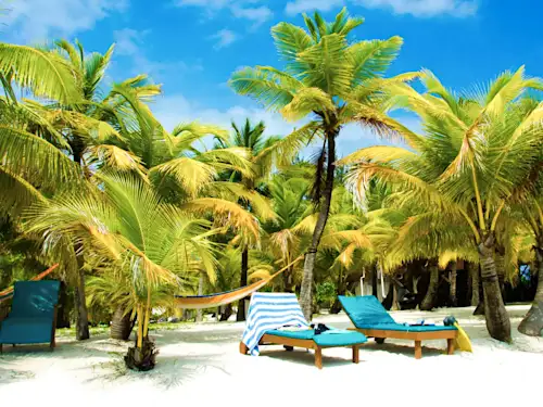 Une facilité du début à la fin