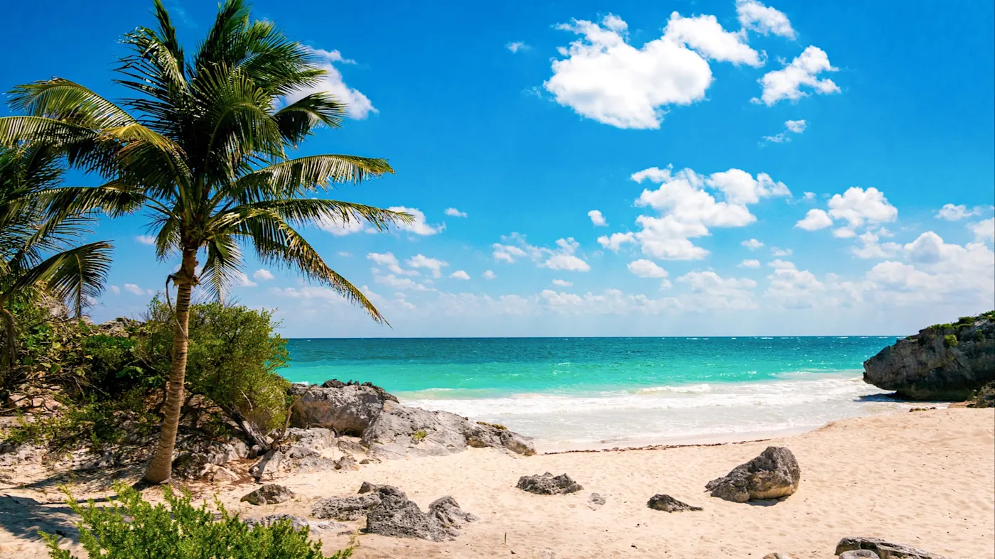Playa del Carmen, Quintana Roo, Mexiko Strand mit Palmen, weißem Sand und türkisfarbenem Meer unter klarem Himmel. Playa del Carmen, Quintana Roo, Mexiko.