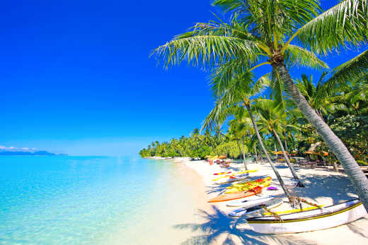 Faites bronzette sur la plage de Matira Point pendant votre voyage à Bora Bora.