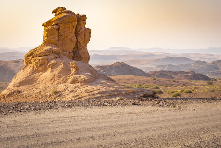 Découvrez la faune exceptionnelle de la réserve naturelle de Palmwag lors de votre voyage en Namibie.