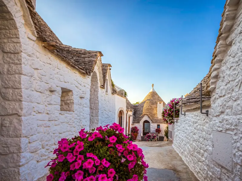 Rue avec maisons trulli traditionnelles et fleurs colorées. Alberobello, Italie.