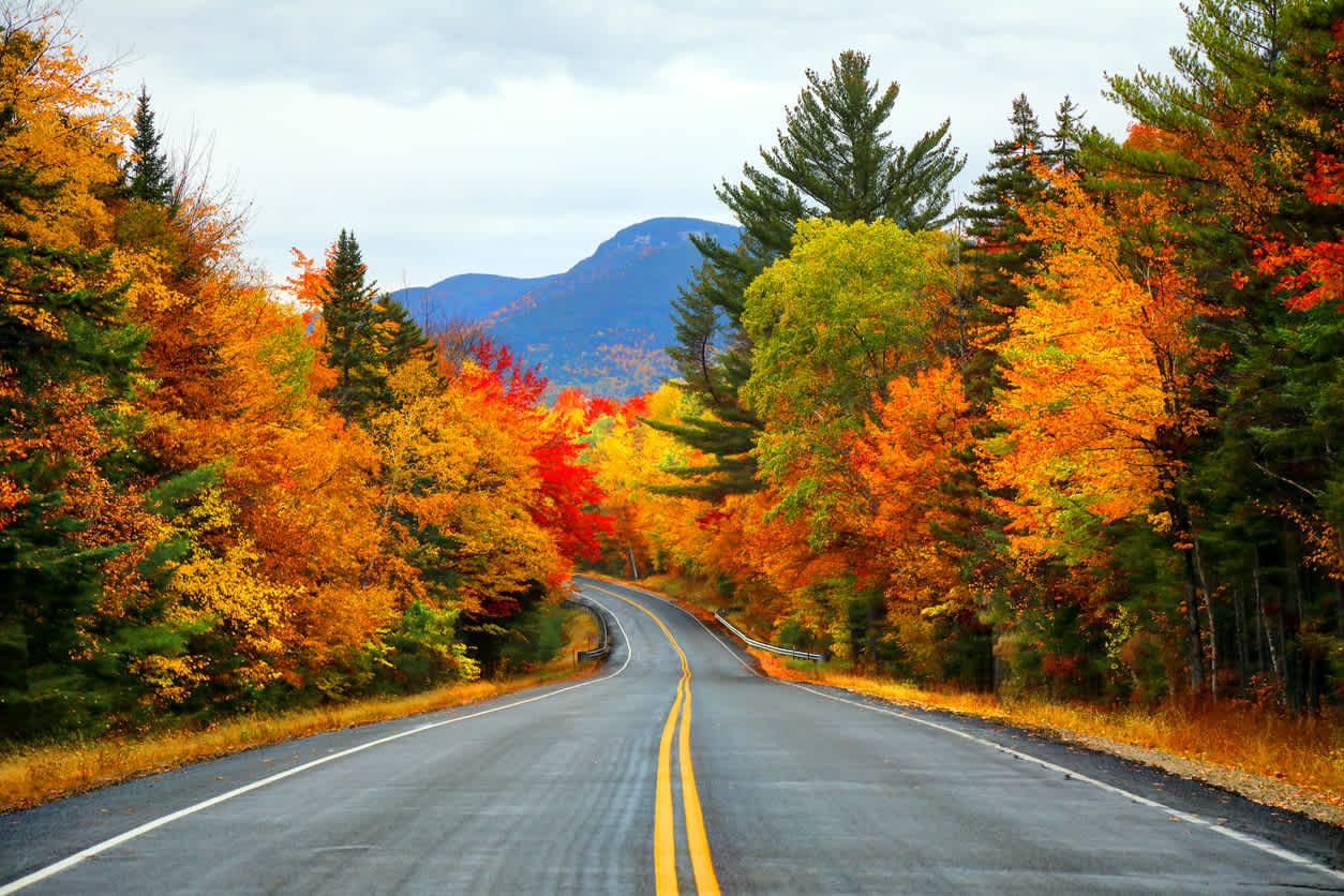 Forêt nationale de White Mountain dans le New Hampshire aux États-Unis