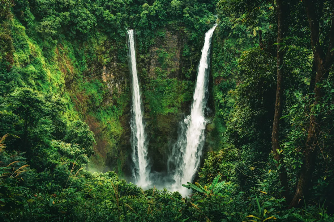 Laos, plateau des Bolovens, Tad Fane Chutes de Tad Fane à Champassak au Laos