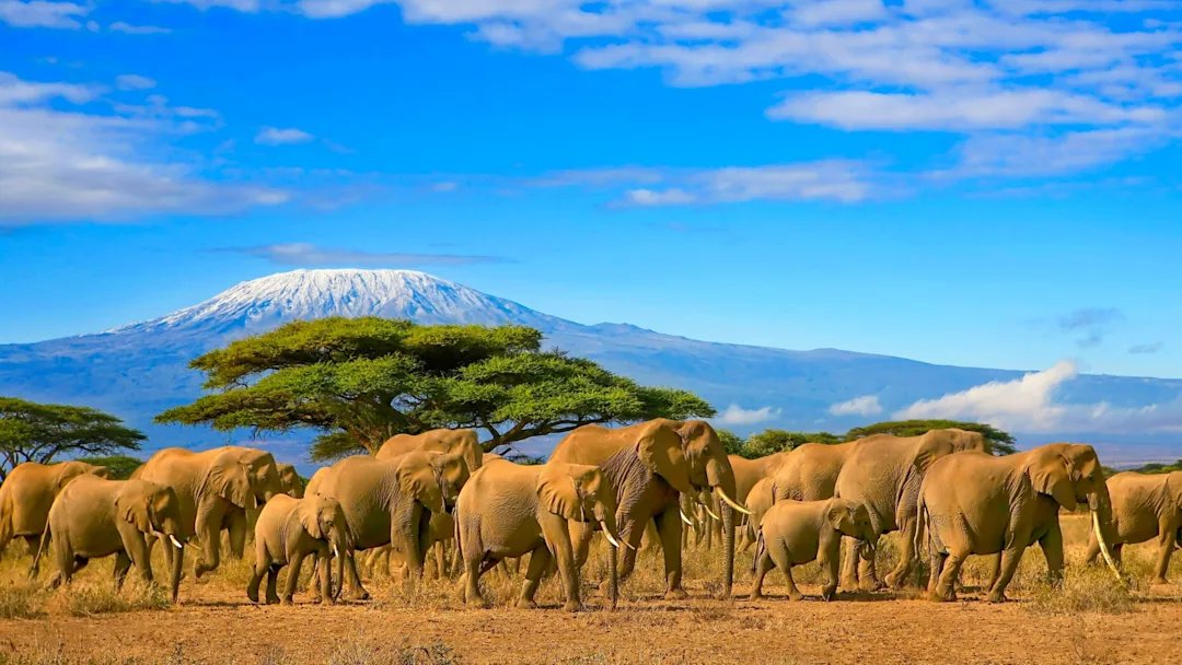 Kilimanjaro Reise Abenteuer: das majestätische Dach Afrikas